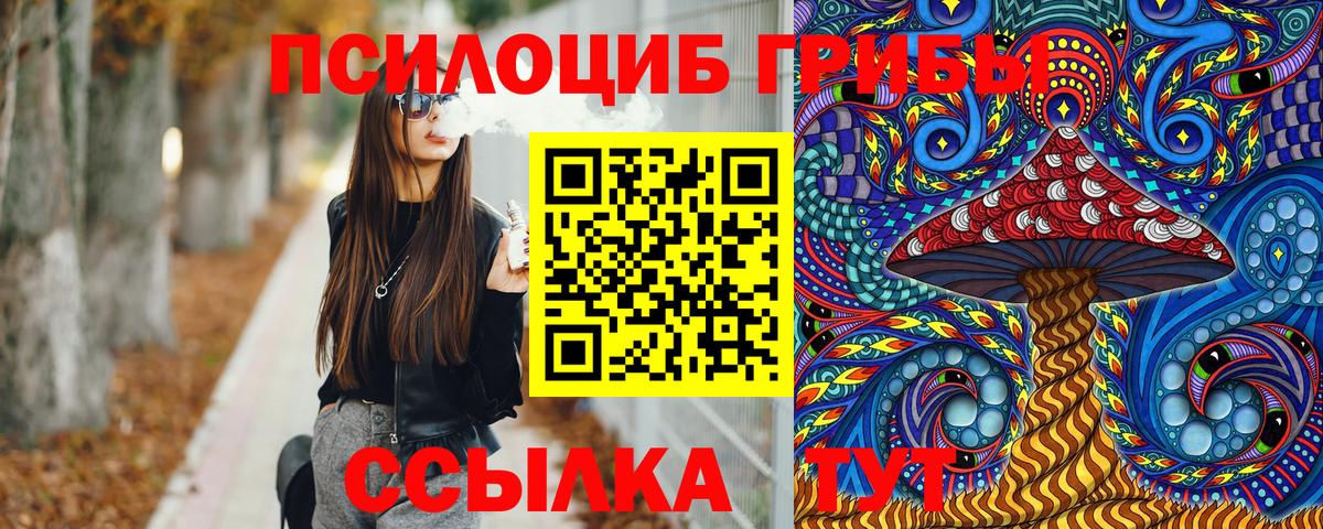 Галлюциногенные грибы Psilocybe  Галлюциногенные грибы мицелий  Вход с VPN  Междуреченск 